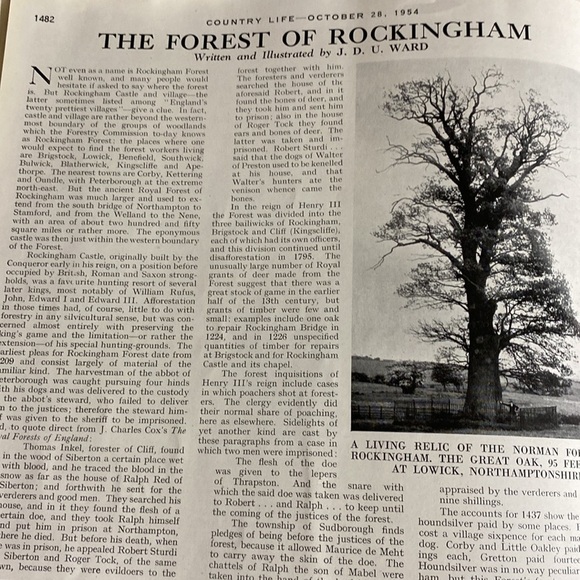 COUNTRY LIFE MAGAZINE October 28, 1954 - Picture 11 of 16